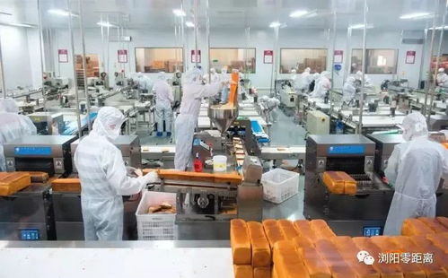 瀏陽一企業自動化生產線投產，觸控產品生產實現“以一當十”